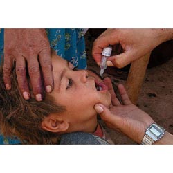 Polio-Poliomyelitis 