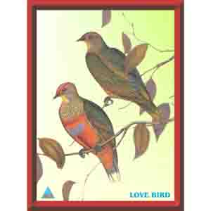 ACS Feng Shui Poster - Love Bird First 