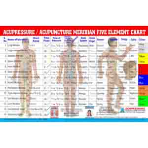 ACS Acupressure/ Acupuncture Meridian Summary Chart 