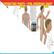 ACS Acupuncture Point+Byol Meridian chart 