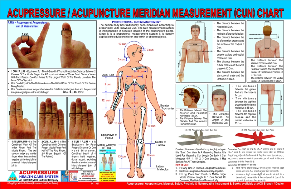 ACS Acupressure/ Acupunture Meridian Cun Measurement Chart 