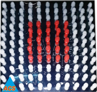 Image result for acupressure K Star Acu Magnetic Mat with Spring description