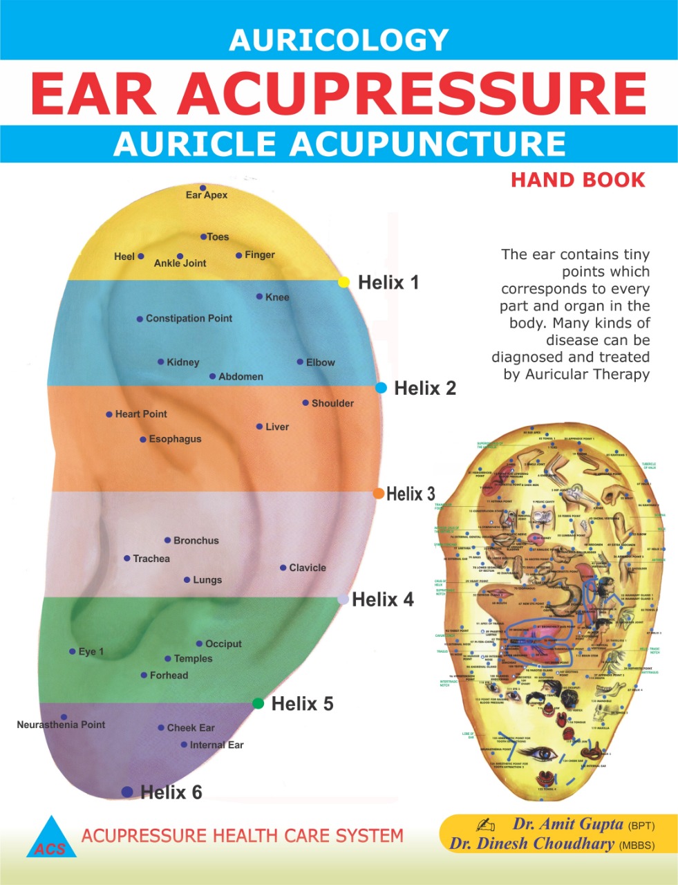 ACS Ear Acupuncture -Auricology Dr. Dinesh & Amit Gupta Book - English
