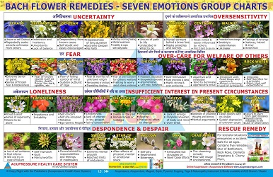 ACS Bach Flower Remedies Charts-Seven Emotions Group 