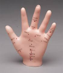 Acupuncture Model - HAND 