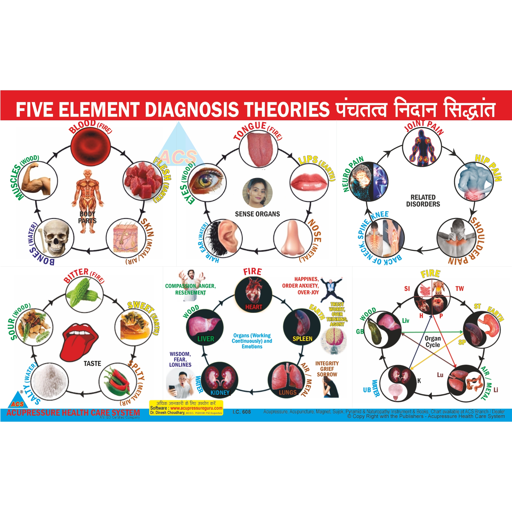 ACS Five Element Diagnosis Theories Chart 