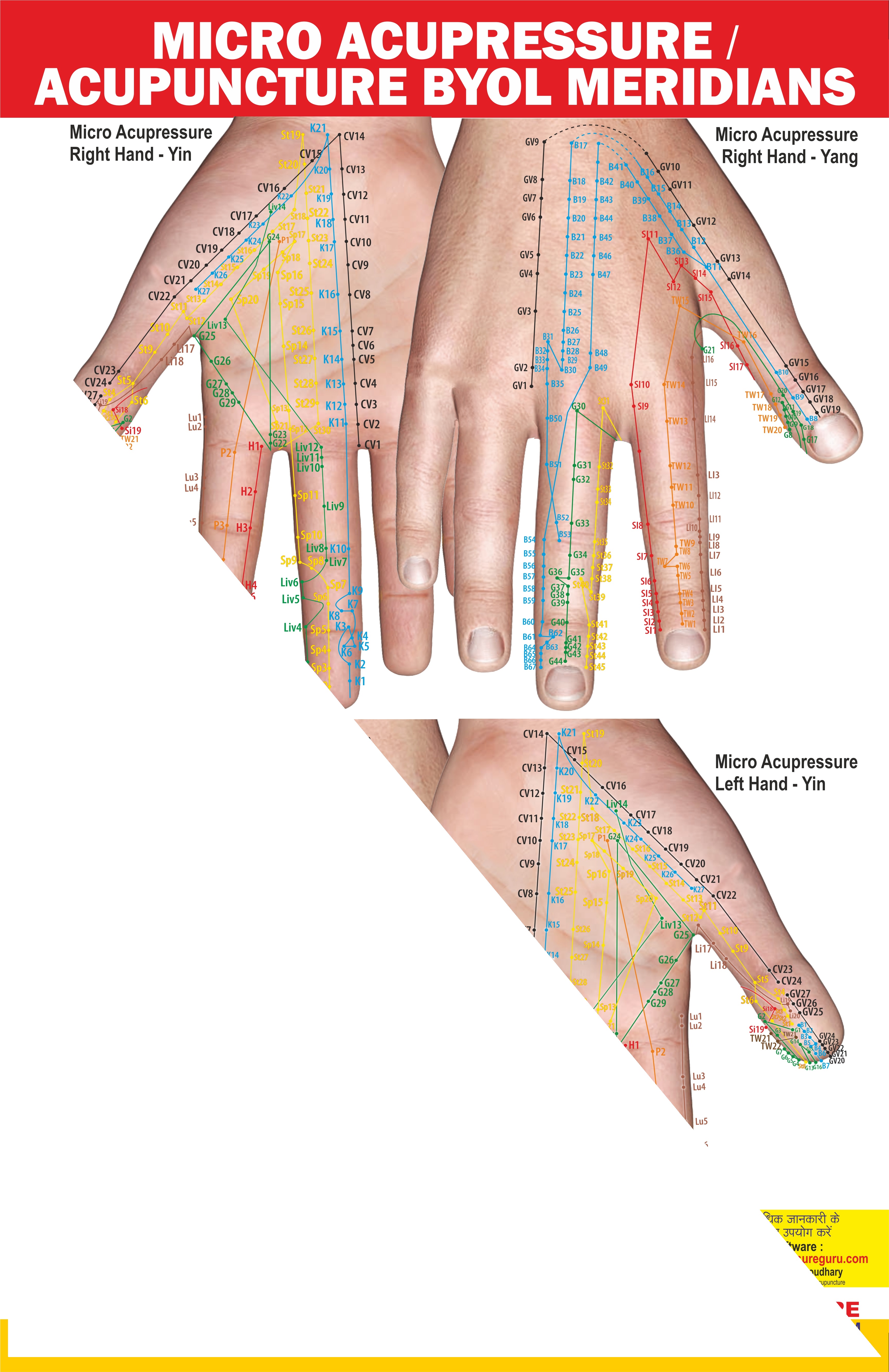 ACS Micro Acupressure / Acupuncture Byol Meridians Chart 
