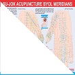 ACS Sujok  Byol Meridian Chart 