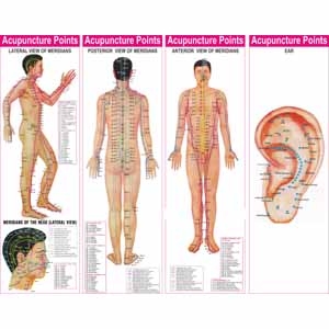 ACS Acupuncture Points Chart-Set-of4 
