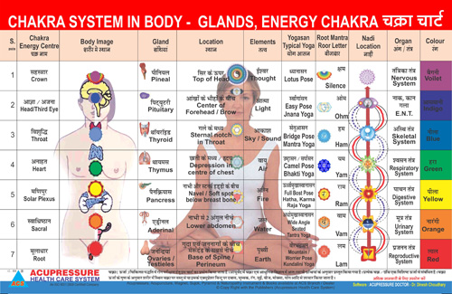 ACS Chakra System Chart   - Glands , Energy  - 359 