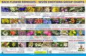 ACS Bach Flower Remedies Charts-Seven Emotions Group  - 359 
