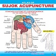 Super Advance Course in Acupressure (S.Adv.Acu.)  - M.D.Acu. 
