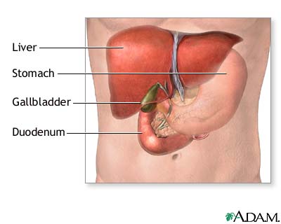 Diseases of the Gall Bladder  -  