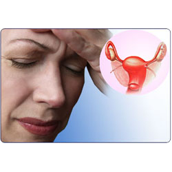 Menopause  -  
